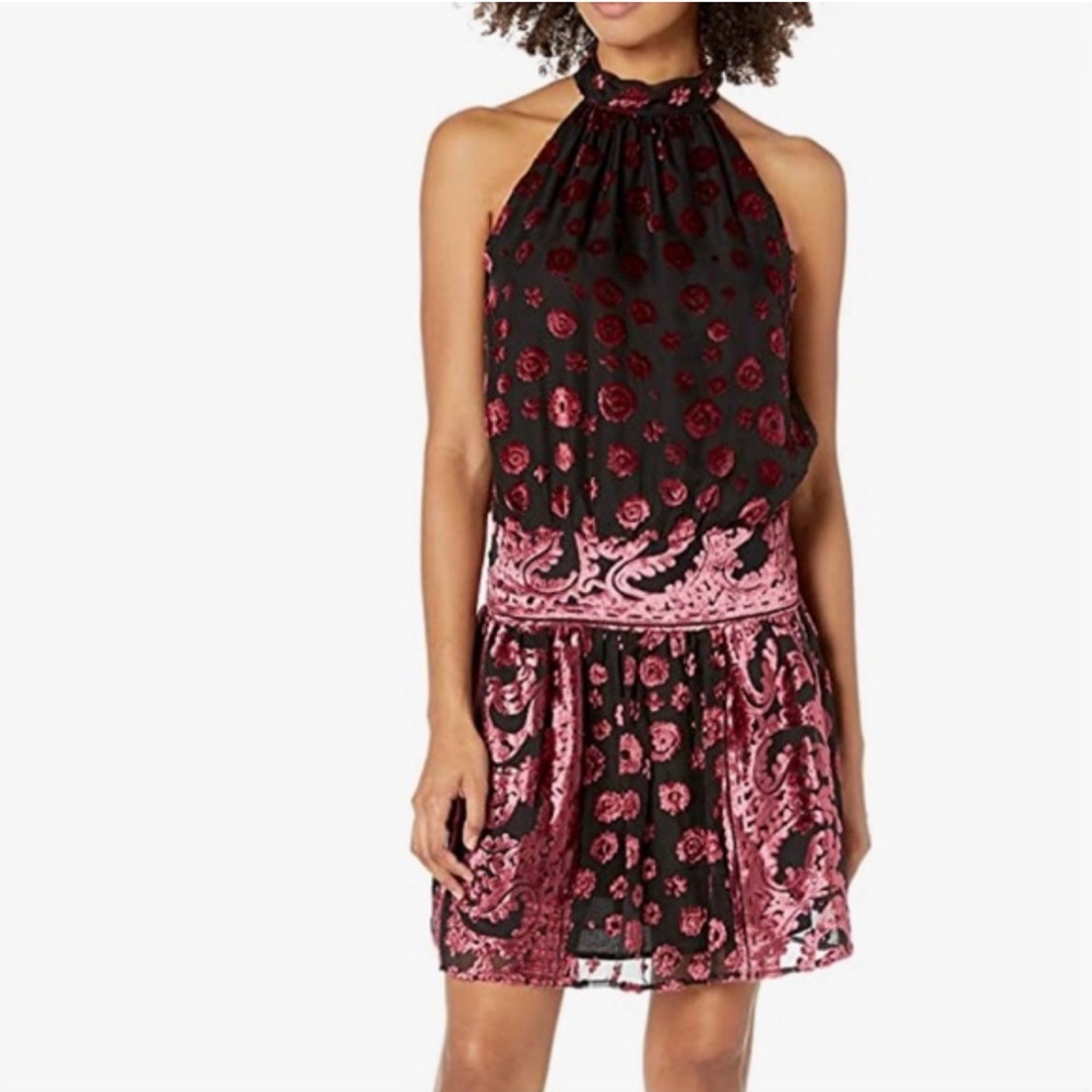 Ramy Brook Velvet Floral Naima Black Purple Mini Burnout Cocktail dress